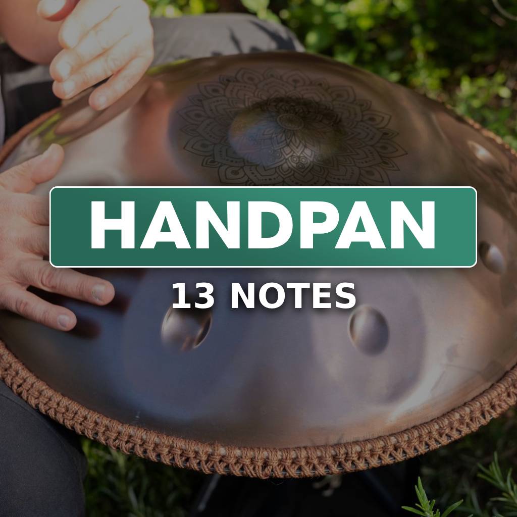 handpan instruments; handpan man; handpan musicians; handpan origin; handpan price